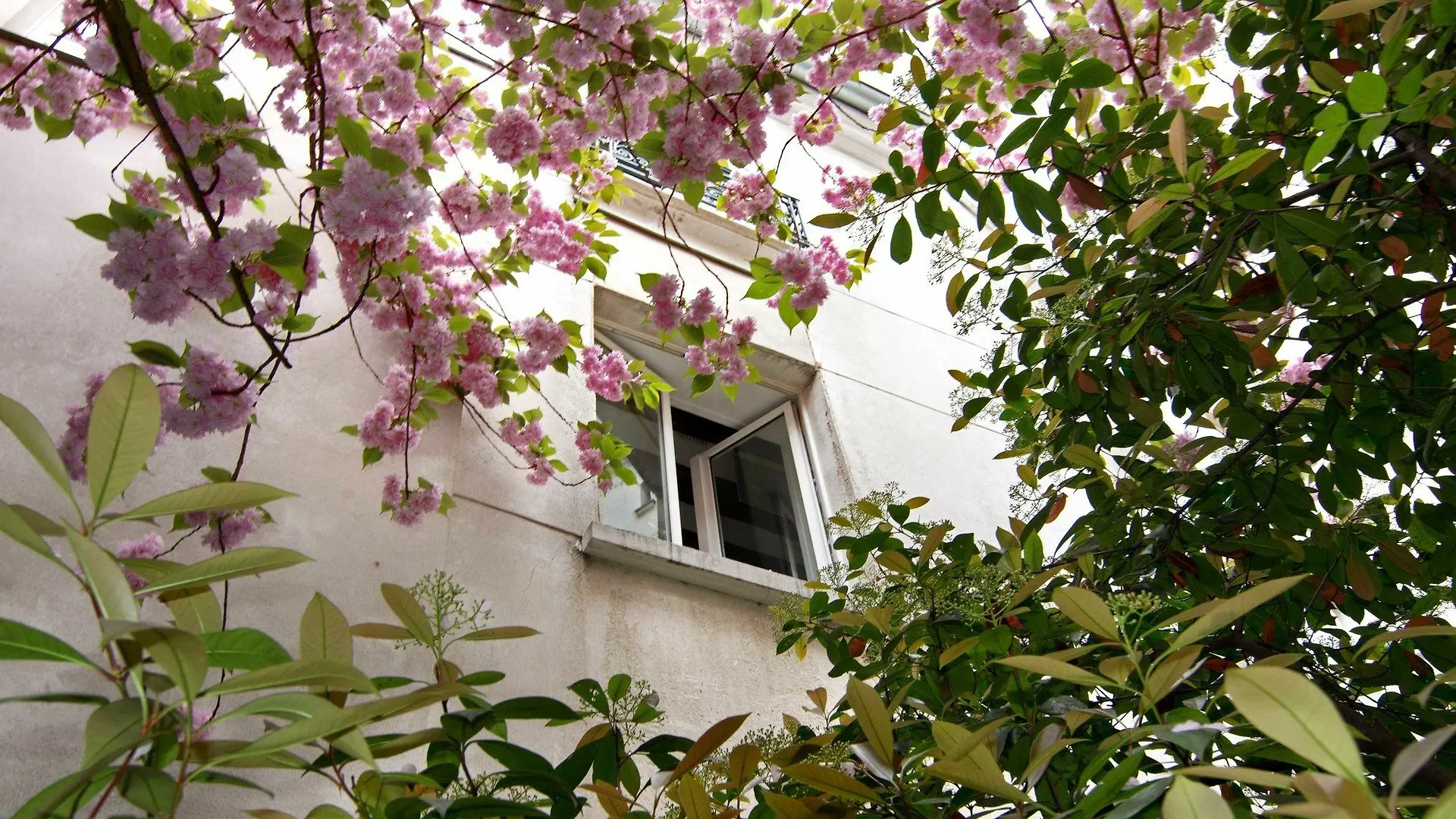 Inn My Nest - Mouffetard Paris